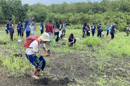 Hijaukan Hutan Perhutani dan Mahasiswa
