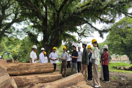 Delegasi Metropolitan Tokyo Sambangi KPH Kendal Pelajari Pengelolaan H